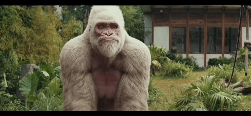 Screen Shot 2018-04-20 at 8.50.48 AM